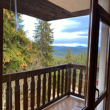 Cedar Heights Cozy * Pamporovo