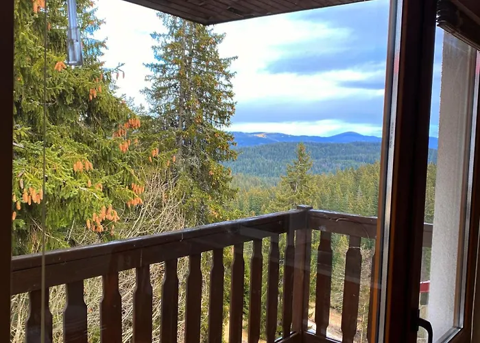 Cedar Heights Cozy * Pamporovo